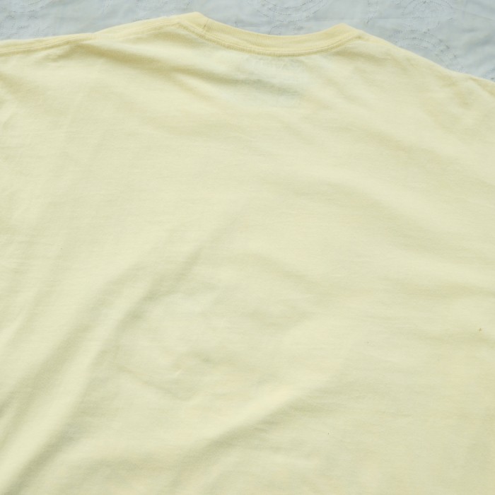 AVIREX 虎×蛇×鷲 薔薇 アニマルデザイン Tシャツ | Vintage.City 古着屋、古着コーデ情報を発信
