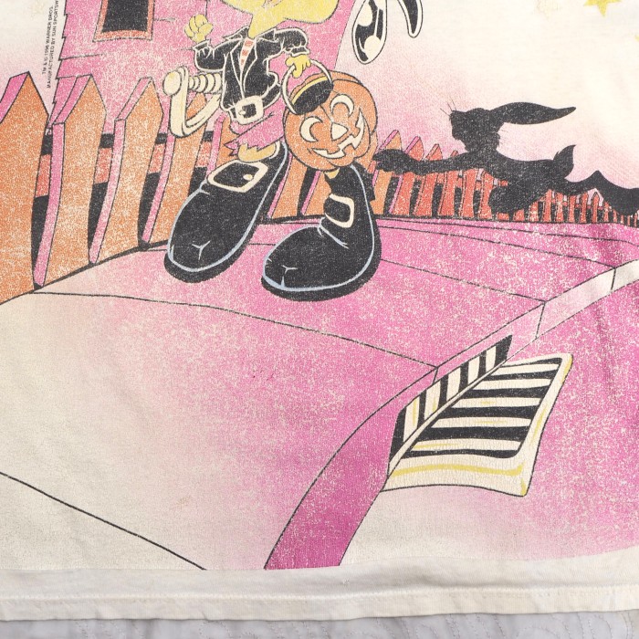 LOONEY TUNES 1990’s Warner Bros トゥイーティー Sun Sportswear Tシャツ | Vintage.City 古着屋、古着コーデ情報を発信