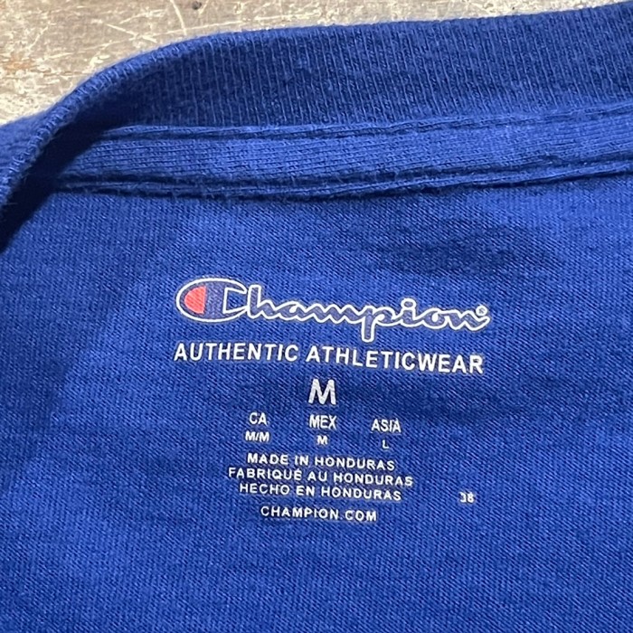 Champion チャンピオン　ロゴプリント　長袖　Tシャツ　ブルー　C173 | Vintage.City 古着屋、古着コーデ情報を発信