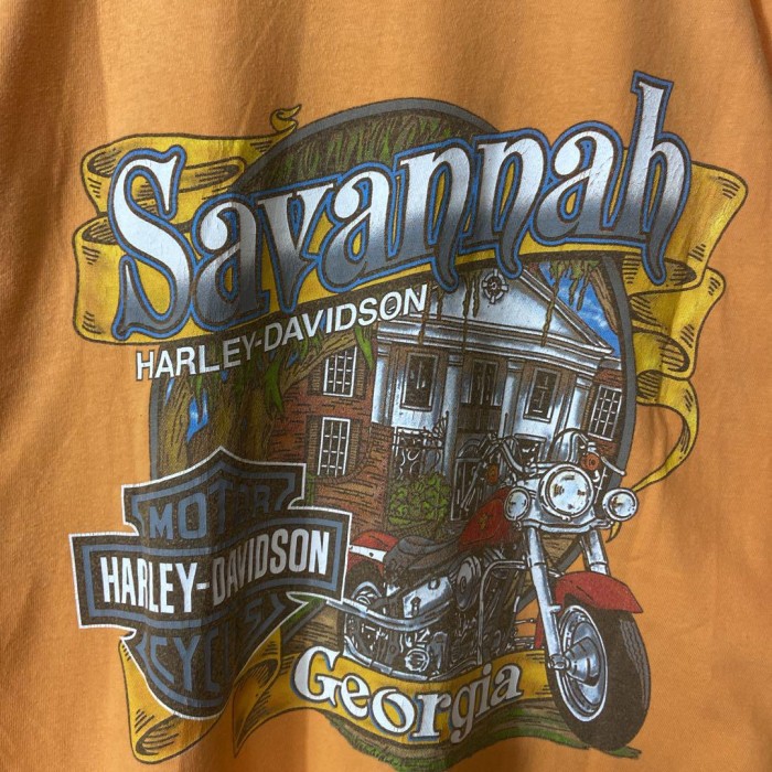 Harley-Davidson usa製 savannah print T-shirt size XL 配送A バイクプリント | Vintage.City 古着屋、古着コーデ情報を発信