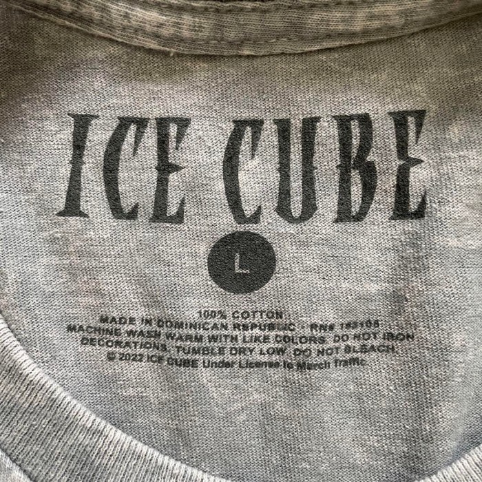 ICE CUBE bleach photo T-shirt size L 配送C アイスキューブ　ブリーチ　フォトTシャツ　ヒップホップ | Vintage.City 古着屋、古着コーデ情報を発信