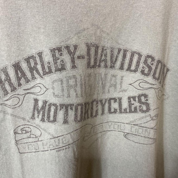 HARLEY DAVIDSON monster back print T-shirt size XL 配送A　ハーレーダビッドソン　両面プリント　モンスター　怪物　オーバーサイズ　くすみカラー | Vintage.City 古着屋、古着コーデ情報を発信