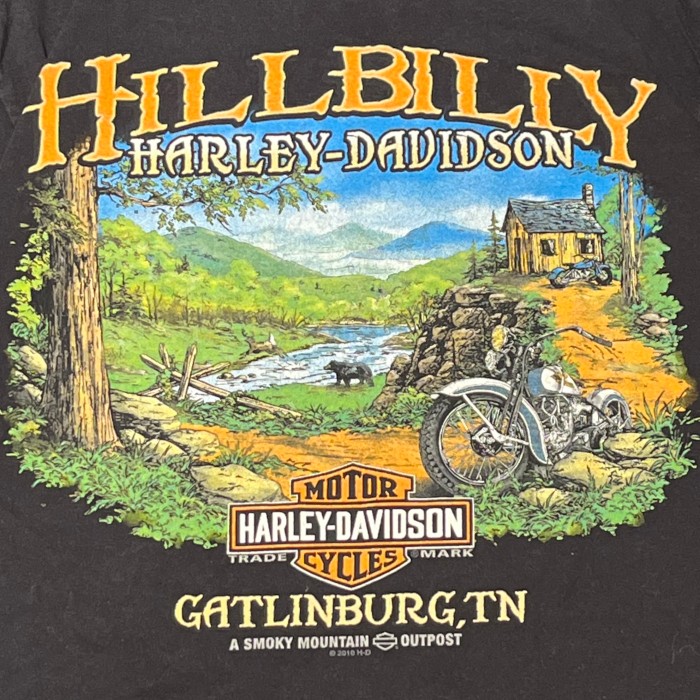 Harley Davidson tee ハーレーダビッドソン　Tシャツ | Vintage.City 古着屋、古着コーデ情報を発信