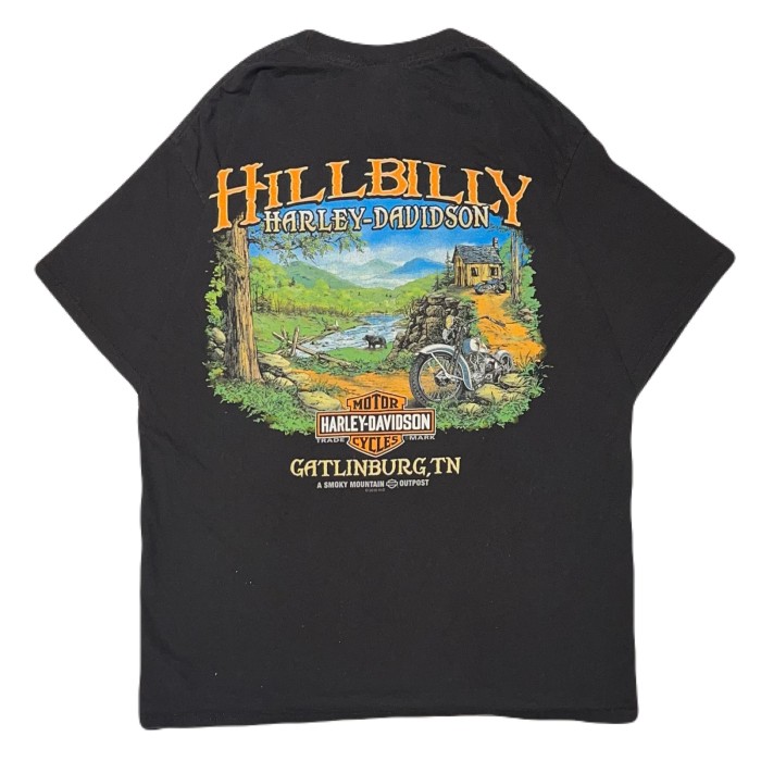 Harley Davidson tee ハーレーダビッドソン　Tシャツ | Vintage.City 古着屋、古着コーデ情報を発信