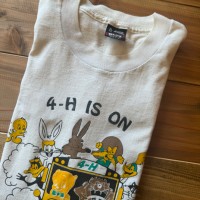 90s FRUIT OF THE LOOM ルーニーテューンズ　Tシャツ　アメリカ製　XL 【000176】 | Vintage.City 古着屋、古着コーデ情報を発信