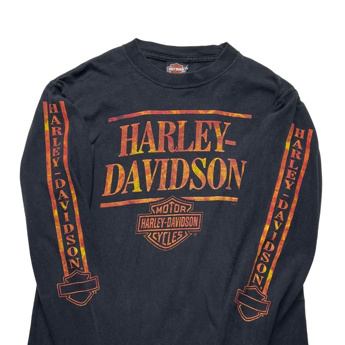 Harley Davidson フレイムデザイン L/S Tee | Vintage.City 古着屋、古着コーデ情報を発信