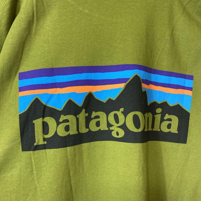 Patagonia backprint T-shirt size M 配送A パタゴニア　バックプリントTシャツ　メキシコ製　抹茶グリーン | Vintage.City 빈티지숍, 빈티지 코디 정보
