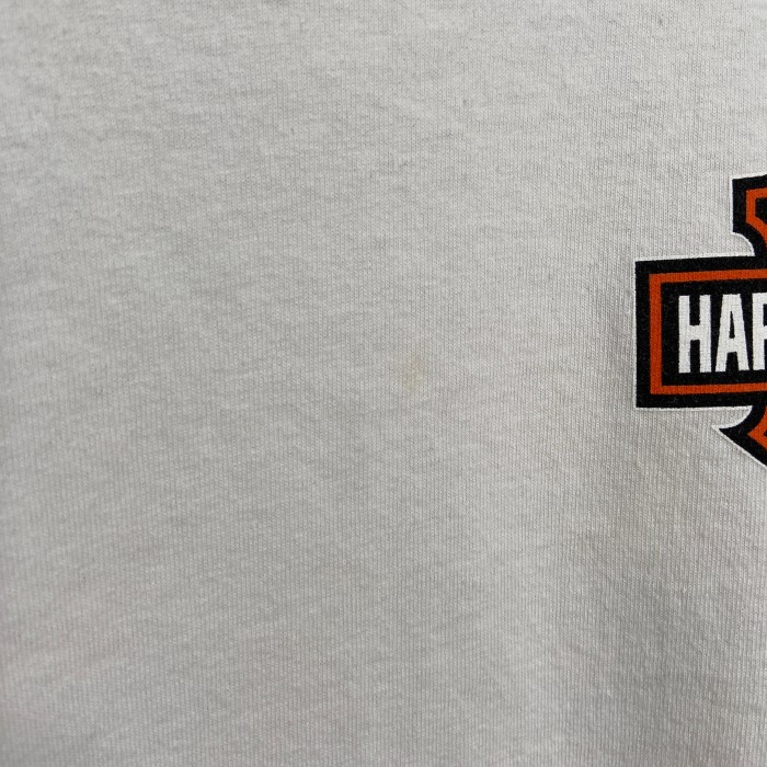 HARLEY-DAVIDSON ロゴロンT 袖プリバックプリント長袖Tシャツ | Vintage.City 古着屋、古着コーデ情報を発信