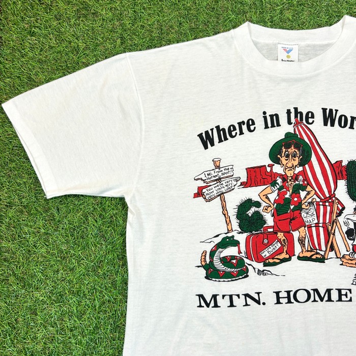 【Men's】80s MTN.HOME A FB Tシャツ / Made In USA Vintage ヴィンテージ 古着 ティーシャツ T-Shirts サボテン ウエスタン | Vintage.City 빈티지숍, 빈티지 코디 정보