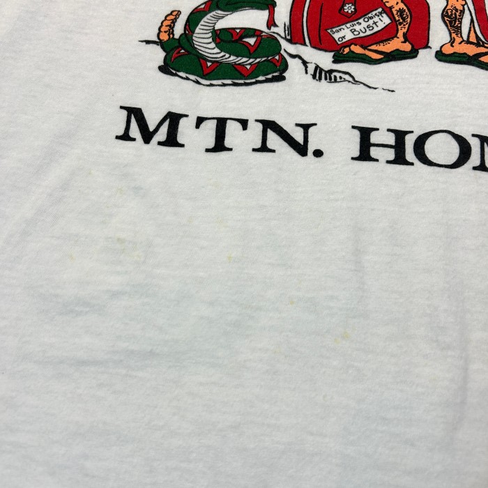 【Men's】80s MTN.HOME A FB Tシャツ / Made In USA Vintage ヴィンテージ 古着 ティーシャツ T-Shirts サボテン ウエスタン | Vintage.City 빈티지숍, 빈티지 코디 정보