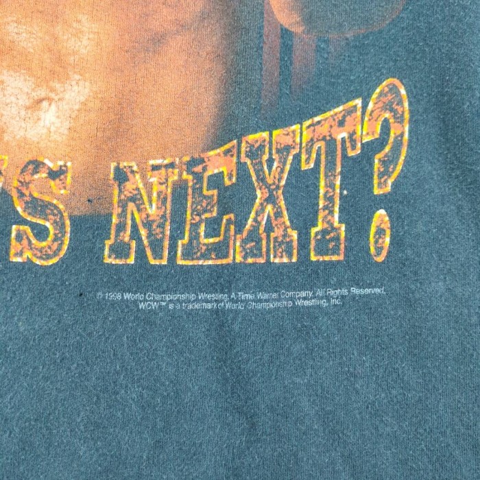 90s WCW ゴールドバーグ ヴィンテージTシャツ プロレス WWF WWE GOLDBERG TULTEX Vintage T Shirt | Vintage.City 古着屋、古着コーデ情報を発信