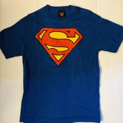 WARNER BROS. スーパーマン　M ビッグロゴTシャツ　ブルー | Vintage.City 古着屋、古着コーデ情報を発信