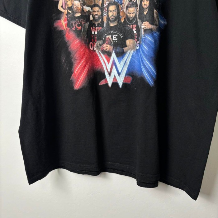 USA古着 2023 WWE ワールドプロレスリング Tシャツ 大集合 2XL | Vintage.City 빈티지숍, 빈티지 코디 정보