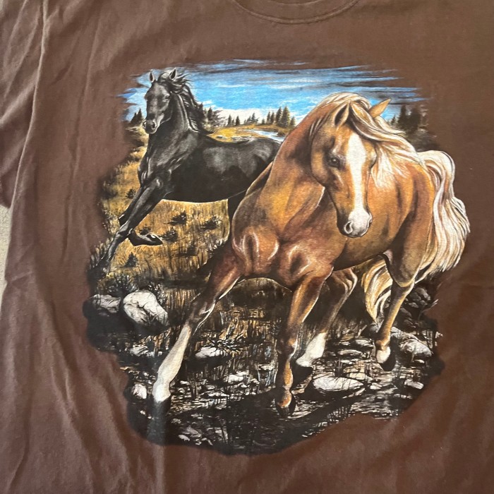 FLUIT OF THE LOOM horse print t-shirt | Vintage.City 빈티지숍, 빈티지 코디 정보
