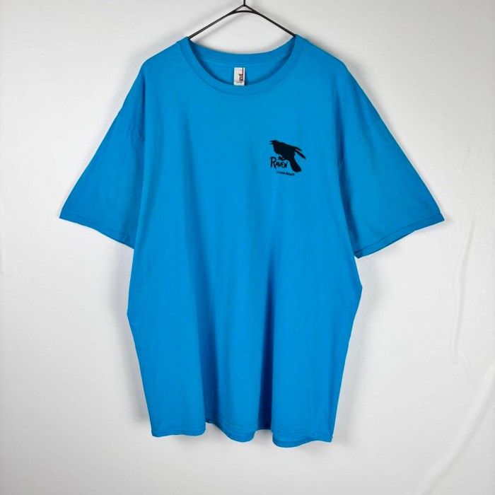 USA古着 アニマル Tシャツ カラス サーフ スーベニア ブルー 水色 XL | Vintage.City 빈티지숍, 빈티지 코디 정보