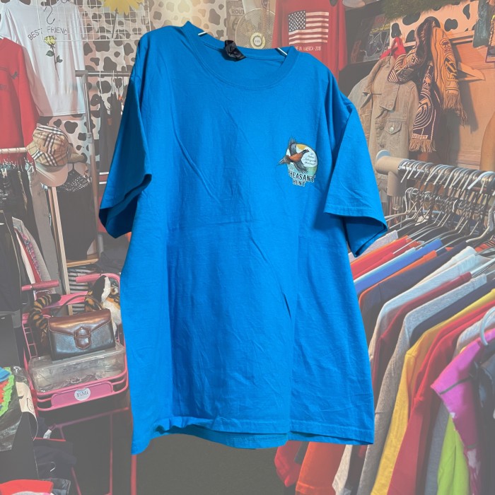 オーバーサイズ　Tシャツ ターコイズブルー　バード　アニマル | Vintage.City 古着屋、古着コーデ情報を発信