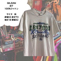 カレッジ系　GILDAN 100%コットン　 白T | Vintage.City 빈티지숍, 빈티지 코디 정보