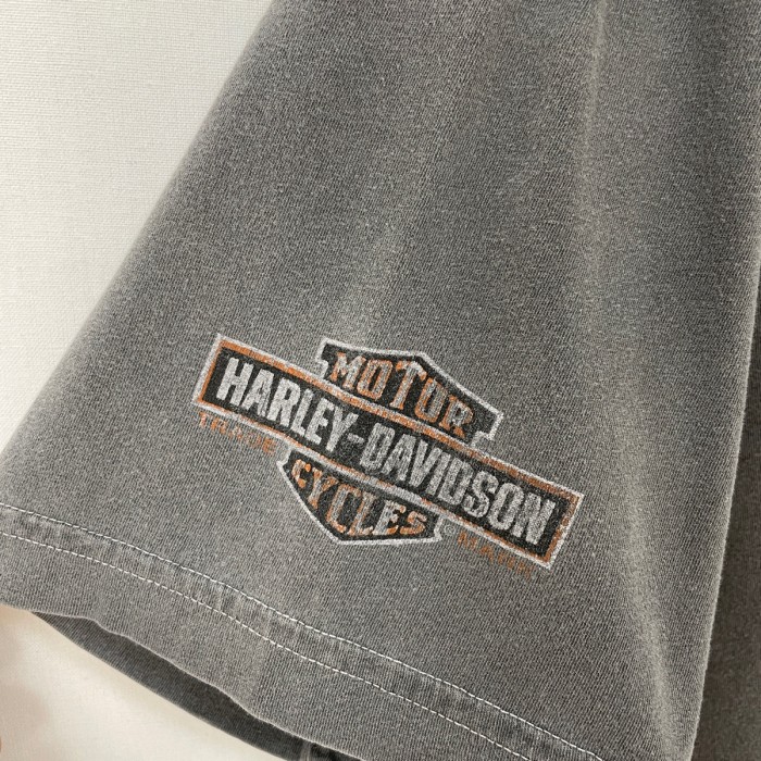 古着 USA製 ハーレーダビッドソン Tシャツ HARLEY-DAVIDSON グレー ロゴ コットン ハーレー バイク メンズ 2XL オーバーサイズ 大きいサイズ ビッグシルエット ビッグサイズ ゆるだぼ 24052104 | Vintage.City Vintage Shops, Vintage Fashion Trends